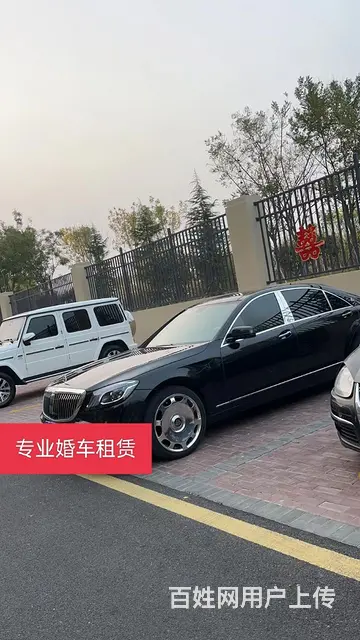 专业婚车租赁 - 图片 6