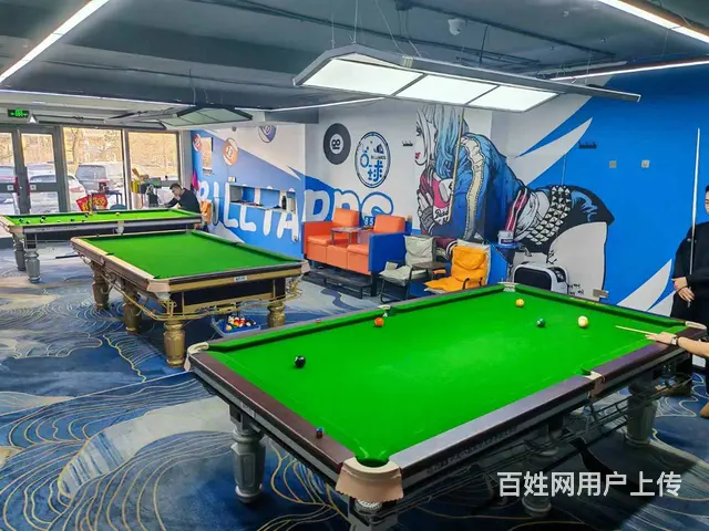 【搞定了！】哈西汇龙北纬45度台球出兑 - 图片 8