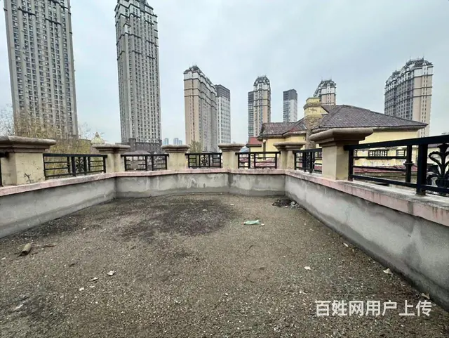 群力四合院墅 独栋 双拼 类独栋多套户型 超底价格 - 图片 5