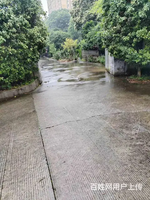（个人发布）雨花区跳马镇佳兆业旁300平厂房仓库 - 图片 6