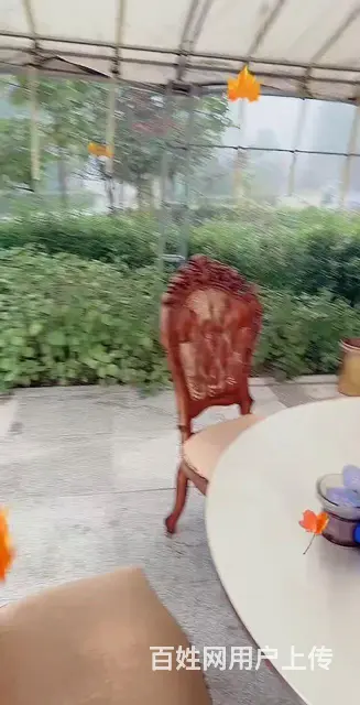 个人急售一楼带花园商住两用 - 图片 9