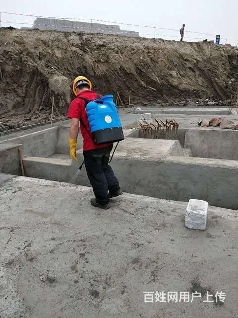 珠海白蚁防治  杀虫 灭鼠 灭蟑螂 灭跳蚤 红火蚁 - 图片 4