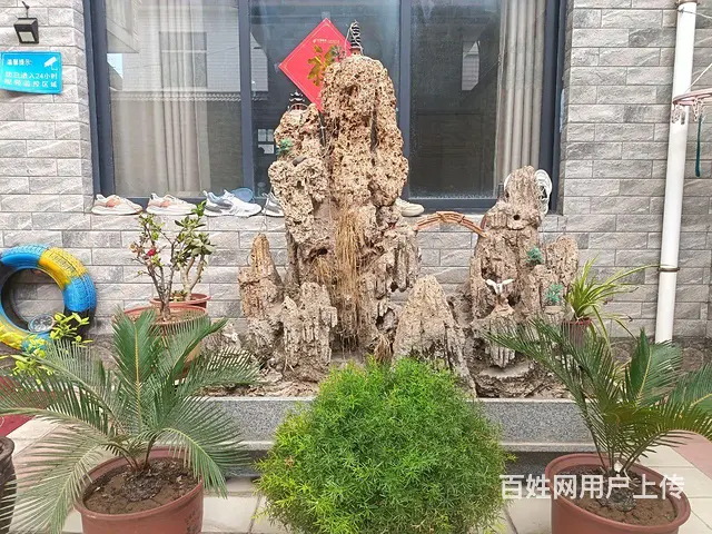 假山 - 图片 1
