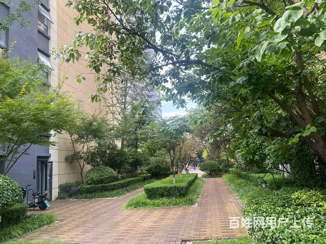 拎包入住 - 图片 4