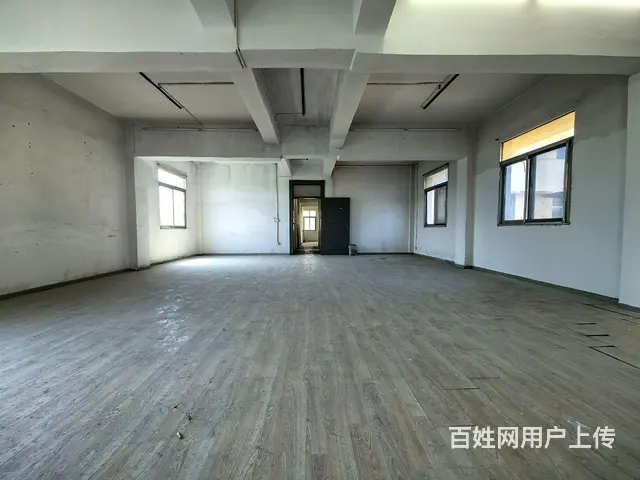 房东直租独栋庭院/停车方便 - 图片 4