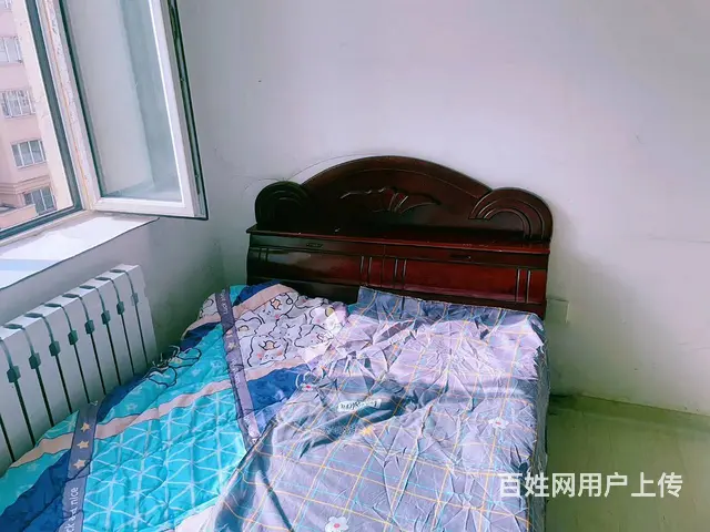 九洲松鹤4楼500两室一厅可以月租 - 图片 4