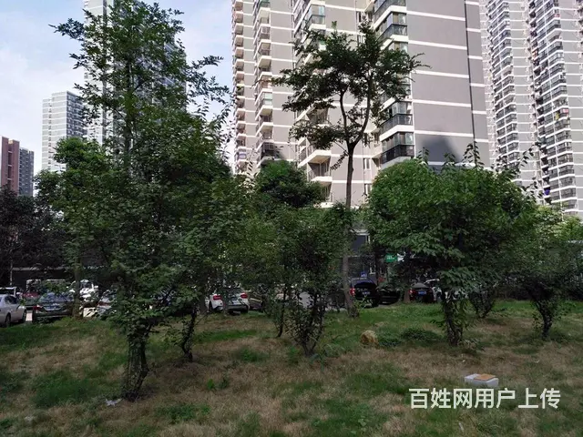 出门即地铁口 小吃一条街 近岳家嘴 直达 楚河汉街 - 图片 12
