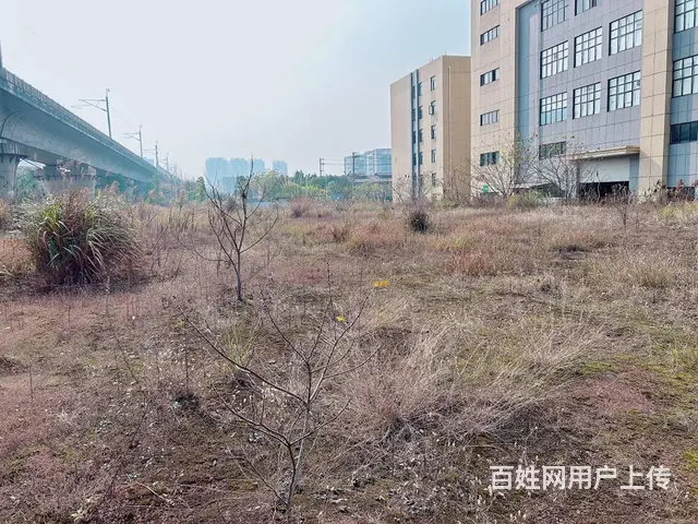 （老板本人）天心区大型场地优价出租  5780 - 图片 10