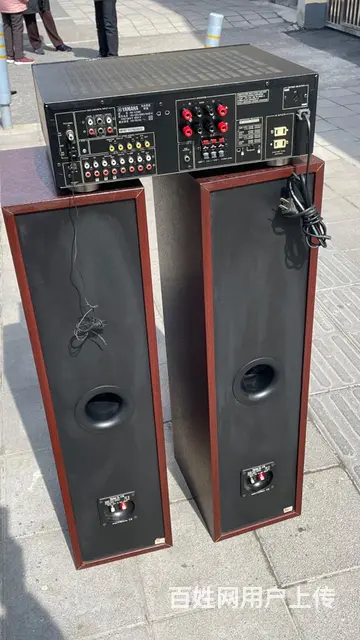丹麦原装进口至尊发烧音箱，双6.5寸低音音质非常好 - 图片 9