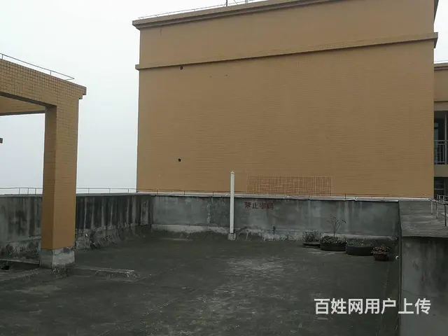 工作室优先！房东直签！3号线轨交房、校园房！简装有车位带花园 - 图片 8
