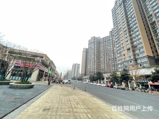 精选）房东直租高端楼盘独栋全业态商铺 - 图片 8