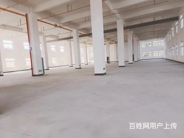 东西湖吴家山500平厂房月租10 - 图片 1