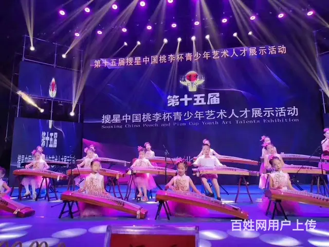 沈阳学古筝培训哪里好 - 图片 3