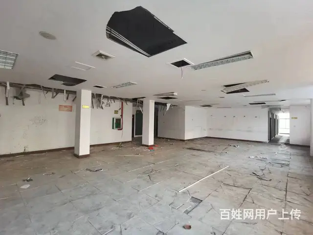 （51旺铺推荐）琼山区琼州大道673平商铺出租 - 图片 4