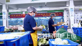 一站式蔬菜供应配送，广州食堂食材采购供应公司 - 图片 1