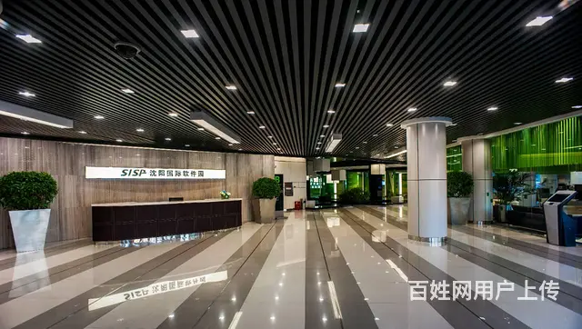 甲方招商 地铁口220平带隔断送免租期停车位 沈阳国际软件园 - 图片 12