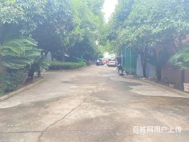 (房东直租)开福大道旁凤羽村独院700平厂房优价出租 - 图片 2