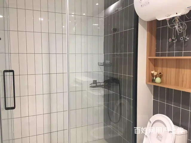 金沙湖品质精装修公寓诚心出售，有需要的来谈 - 图片 5