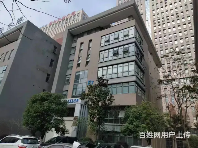 （老板本人）麓谷企业广场整栋厂房/写字楼低价出售  6076 - 图片 1
