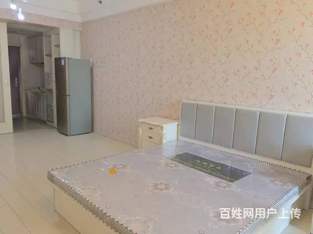 近中街大悦城，丰瑞威士顿公寓 ，1300元/月，精装修家电全 - 图片 7