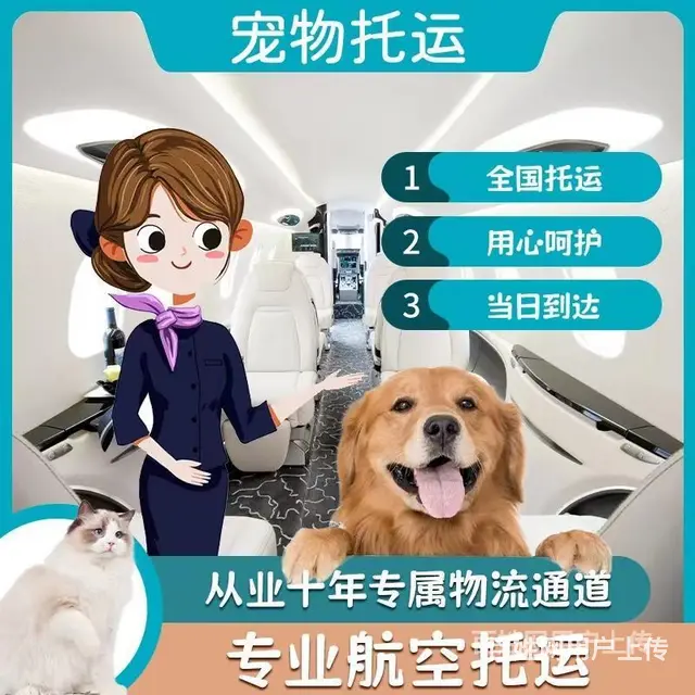 推荐） 吴忠宠物托运到全国）（猫狗）邮寄快递（宠物活体运输） - 图片 1