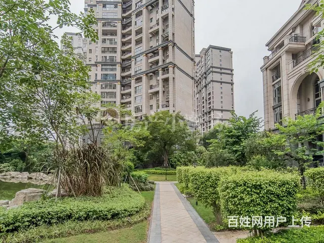 个人 宝龙一城旁 世茂湖滨首府 精装全套 低价急租 - 图片 9