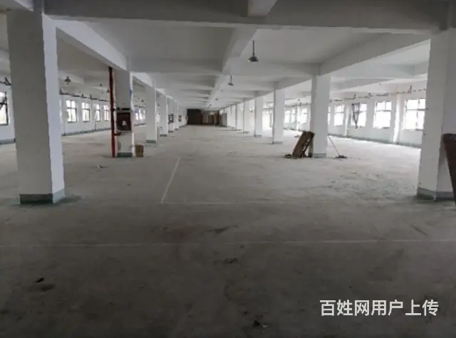 洛阳批发市场独栋仓库多层仓库出租空间大,有库管货梯 - 图片 3