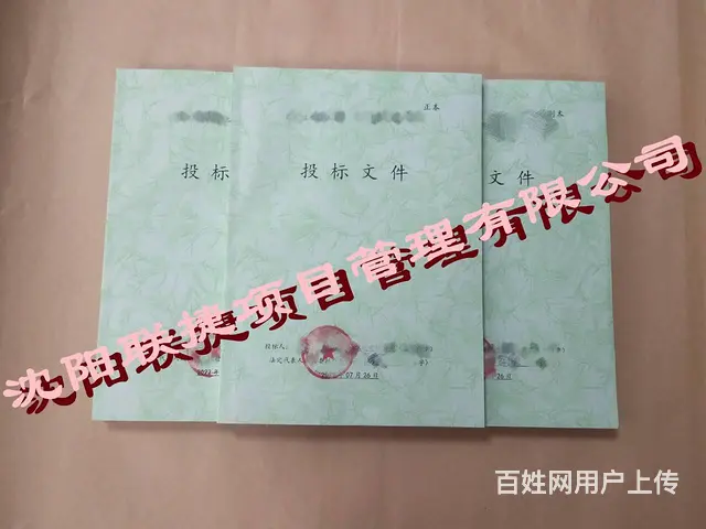 沈阳标书制作，文件精美，内容丰富。 - 图片 7