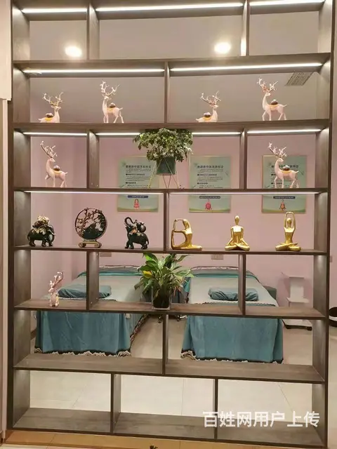 理疗师 塑型师 - 图片 10