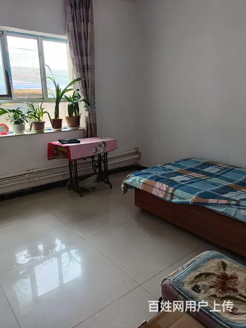 乌鲁木齐县水西沟房屋出租 - 图片 2