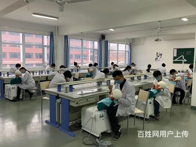 临沂卫生学校招生分数线 - 图片 2