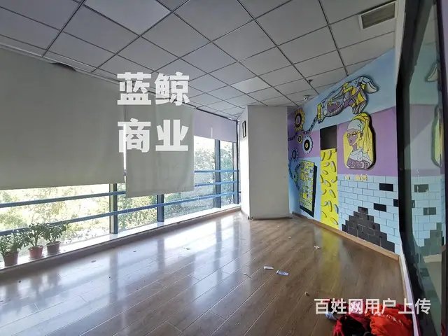 绿地瀛海300平纯办公 - 图片 7