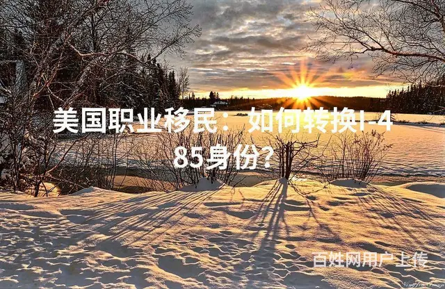 美国职业移民：如何转换I-485身份 - 图片
