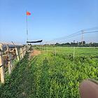 3亩土地水电齐全，可种植、养殖、扣大棚、堆放物资