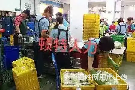 T新西兰高薪招聘各种技术工+普工，年薪40万 - 图片 3