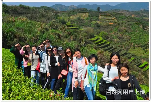 天晟茶艺培训学校招生简章 - 图片 4