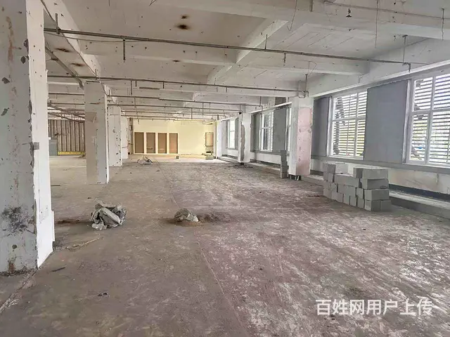 （新房源）高区利群附近临街大平层门市和办公室招租 - 图片 10