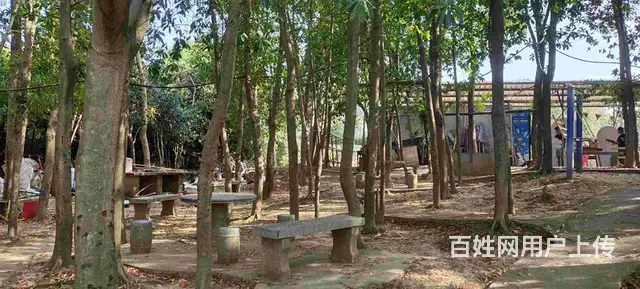 长沙户外团建农家乐一日游 - 图片 4