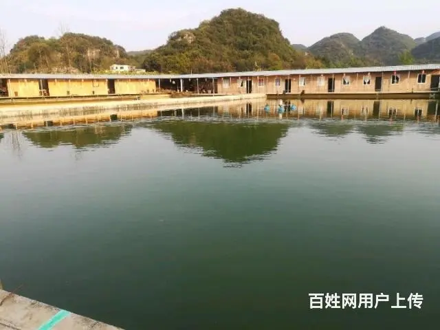 农庄钓场出售 - 图片 12