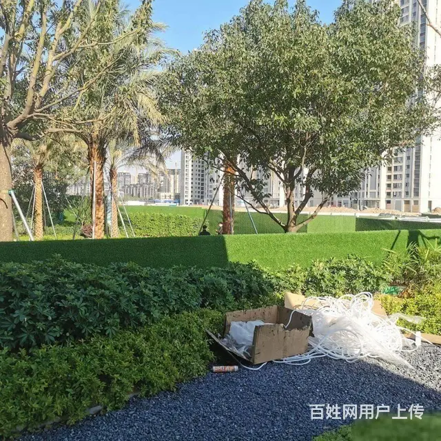 香海大桥旁 湖心新城 湖心明荟1.4万起带精装 86平3房 - 图片 6