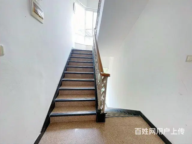 全城聚焦好房强推 华南碧桂园独栋别墅 建基70平1 - 图片 10