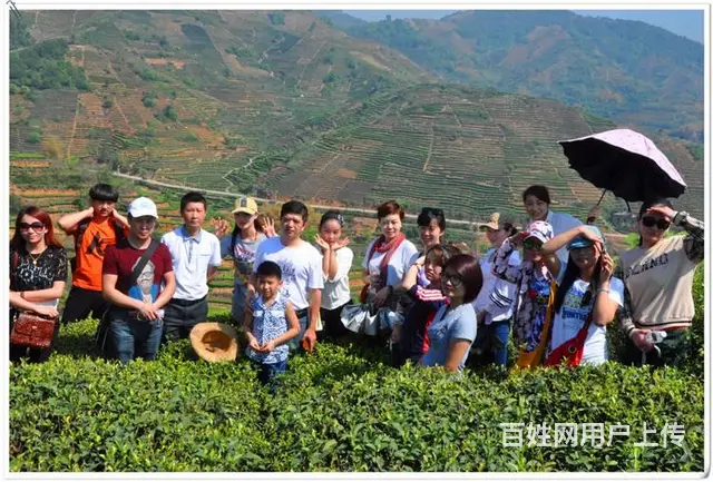 学茶艺哪里有培训 - 图片 2