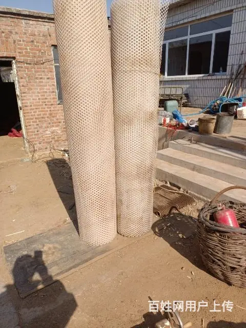 鸡雏网 - 图片