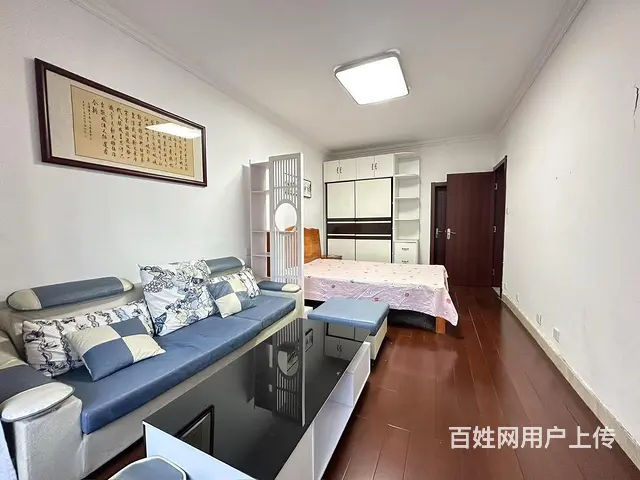 实图月付 桐泾公园 解放新村 精装两房大客厅 低楼层押一付一 - 图片 1