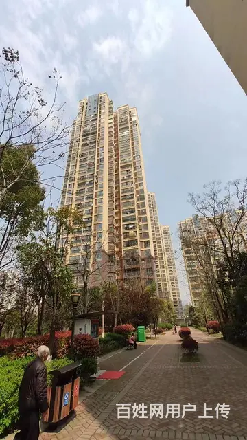 南山公园 优品尚城电梯房  精装 拎包入住 - 图片 1