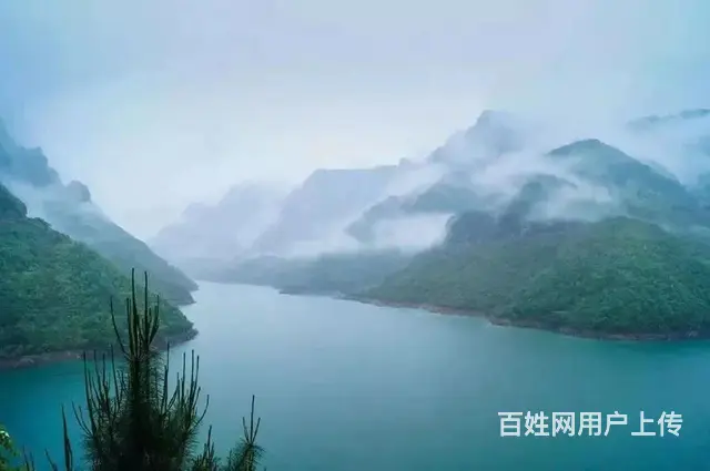 自己老家野蜂蜜，不是养蜂人，就卖点自己家真蜜 - 图片 7