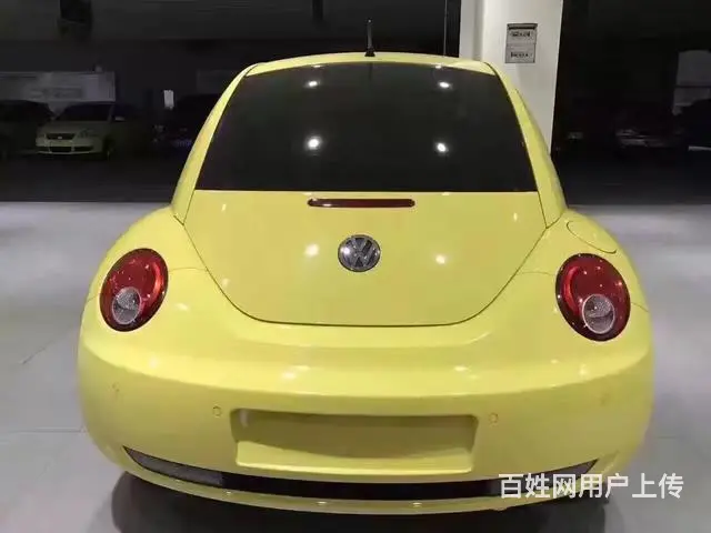 大众甲壳虫掀背 [进口] 2009款 2.0L 自 - 图片 6