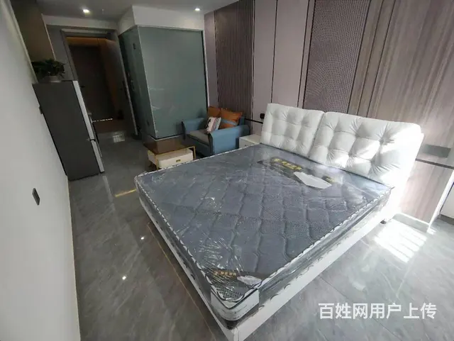 市中心二院华庭街单身公寓出租9001500多套 我是房东 - 图片 4