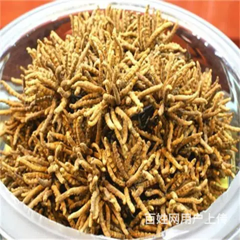 广州回收冬虫夏草-天河区回收散装虫草商家地址 - 图片 3