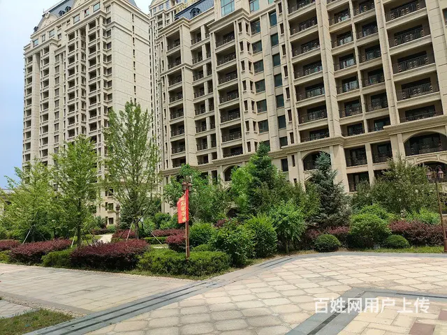 忠旺上上城清水房出售 - 图片 3